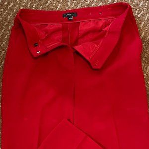 ANN TAYLOR work pants (polyester/rayon dress pant )